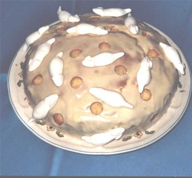 Zur&uuml;ck
